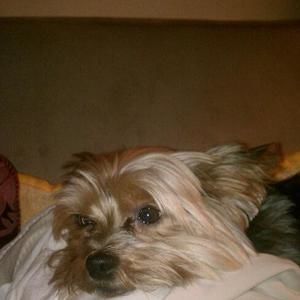 Meet your Posher, Michelle